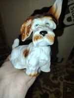 Porcelán kiskutya