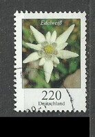 Német 220