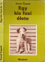 Capek Karel: Egy kis foxi élete