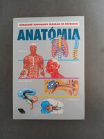 Anatómia (korszerű tudomány írásban és képekben) - 1994