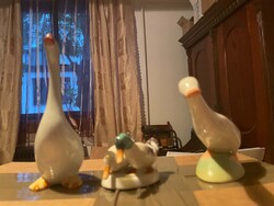2 ducks and a pair of geese