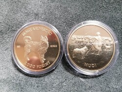 Mudi 2000 forintos, PP, UNC érme