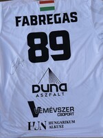 Ludovic Fabregas kézilabda aláírt mez