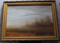 Signed (Csikós A) painting. Foggy landscape