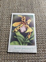 Antique Greeting Postcard