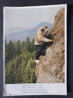 Régi NDK képeslap – sziklát mászó Teddy mackó, 1957