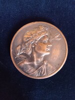 Ritka bronz érme