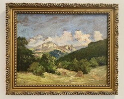 Várady Gyula (1866-1929) 41x50 cm EREDETI olajfestménye