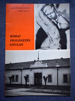 Hegedűs Károlyné : Korai fejlesztés Gyulán   gyógypedagógiai tájékoztató füzet 1987