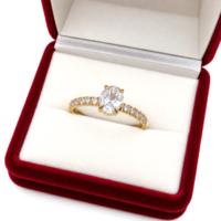Xuping TTM premium hypoallergenic gold-plated stainless steel ring with cubic zirconia, size 9 (5021)