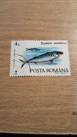 1992, HALAK, ROMÁNIA