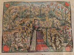 Orvostörténeti ritkaság: Adam Lonicer (cca. 1582) krauterbuch