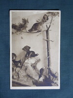 Postcard, Sarajevo, Zemaljski Bird Collection Museum, letter from Károly Vécsey to Ede Agárdi ornithologist, 1914