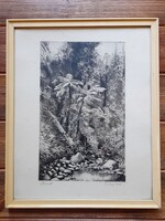 Pataky Béla "Őserdő" rézkarc