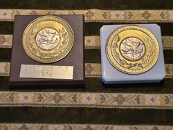 Sports Plaque on Base