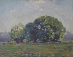 (K) Bosznay István (1868-1944): Summer Landscape