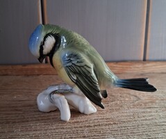 ENS tit, titmouse