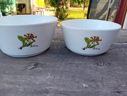 Porcelán tál Ditmar-Urbach 2db