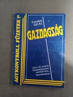 Carolyn Deal - Agykontroll füzetek 1. - Gazdagság