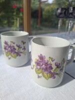 IBOLYA PATTERN old Zsolnay mug