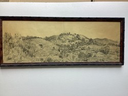 Akli-toldy vineyard 1930.
