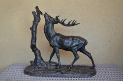 Stag