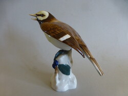 Rare Royal Dux Bird