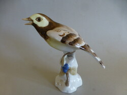 Rare Royal Dux Bird