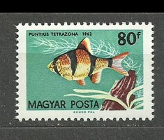 Halak 80 f