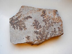 Dendrites Sandstone Plate