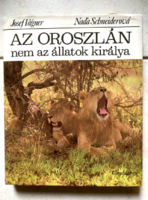 Az oroszlán nem az állatok királya