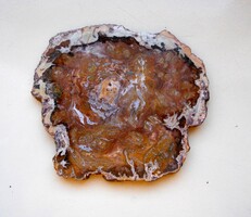 Wood Opal Polished