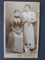 Antik CDV fotó két elegáns fiatal nő kutyával műtermi portré 1895 Lud. Neuwierth