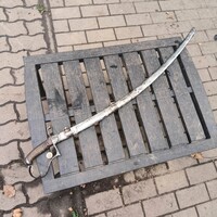 Austrian 1837M Sword with Rare Horn Handle
