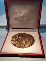 1980-as bronz plakett a Szovjet Magyar ürrepülés emlékére