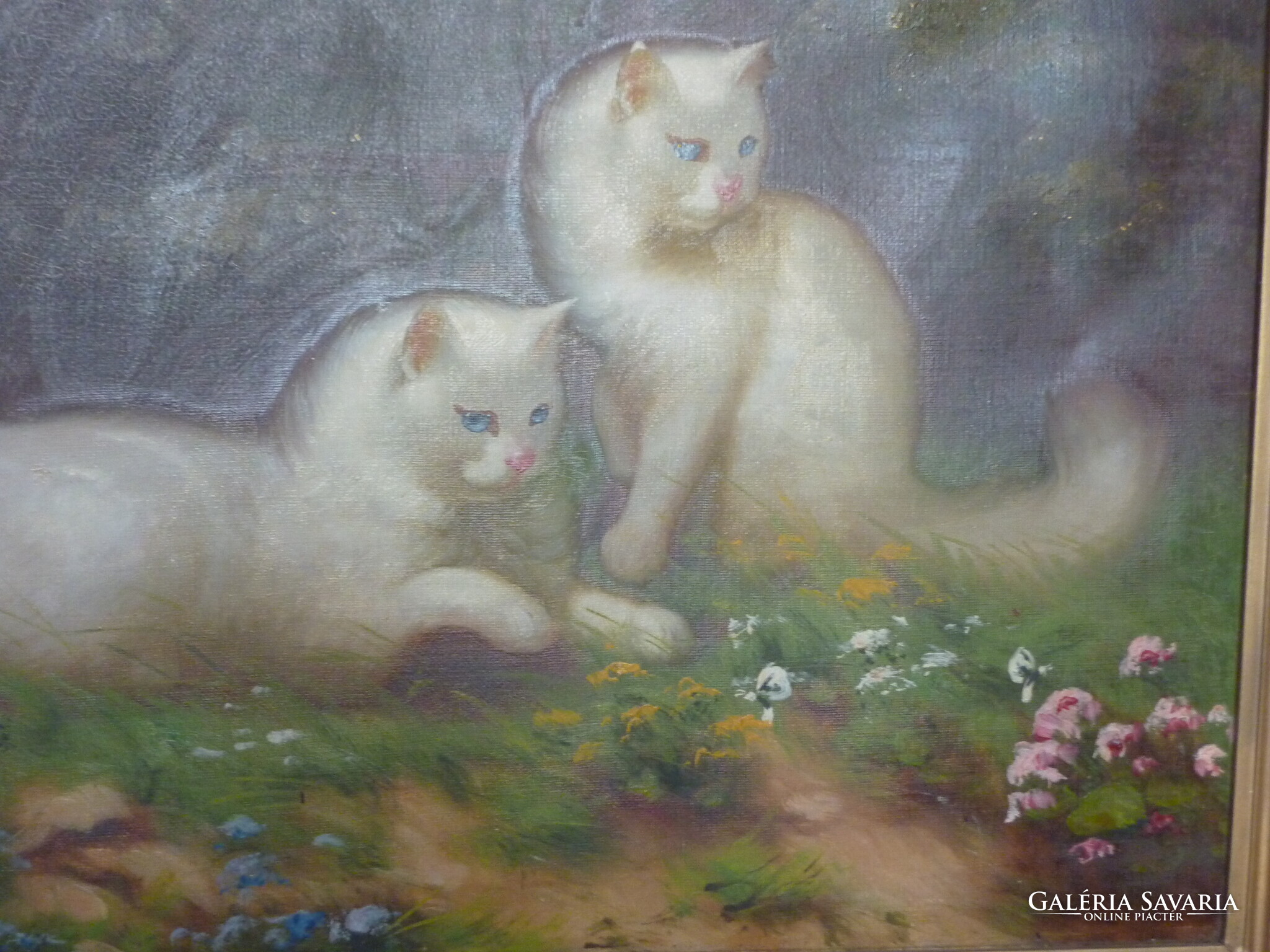 Benő Boleradszky for sale: Persian cats, oil canvas painting ...