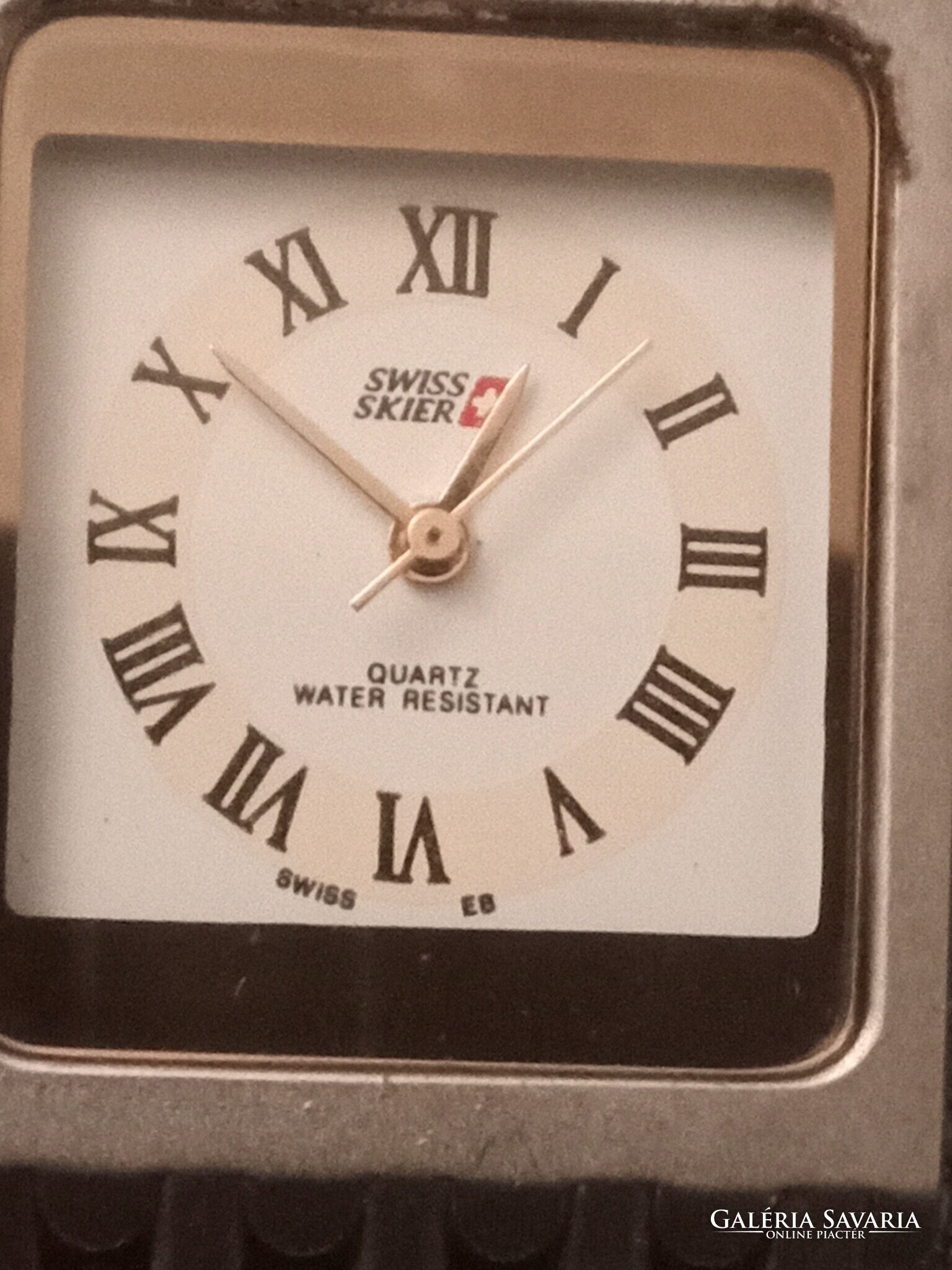 Swiss shop skier watch