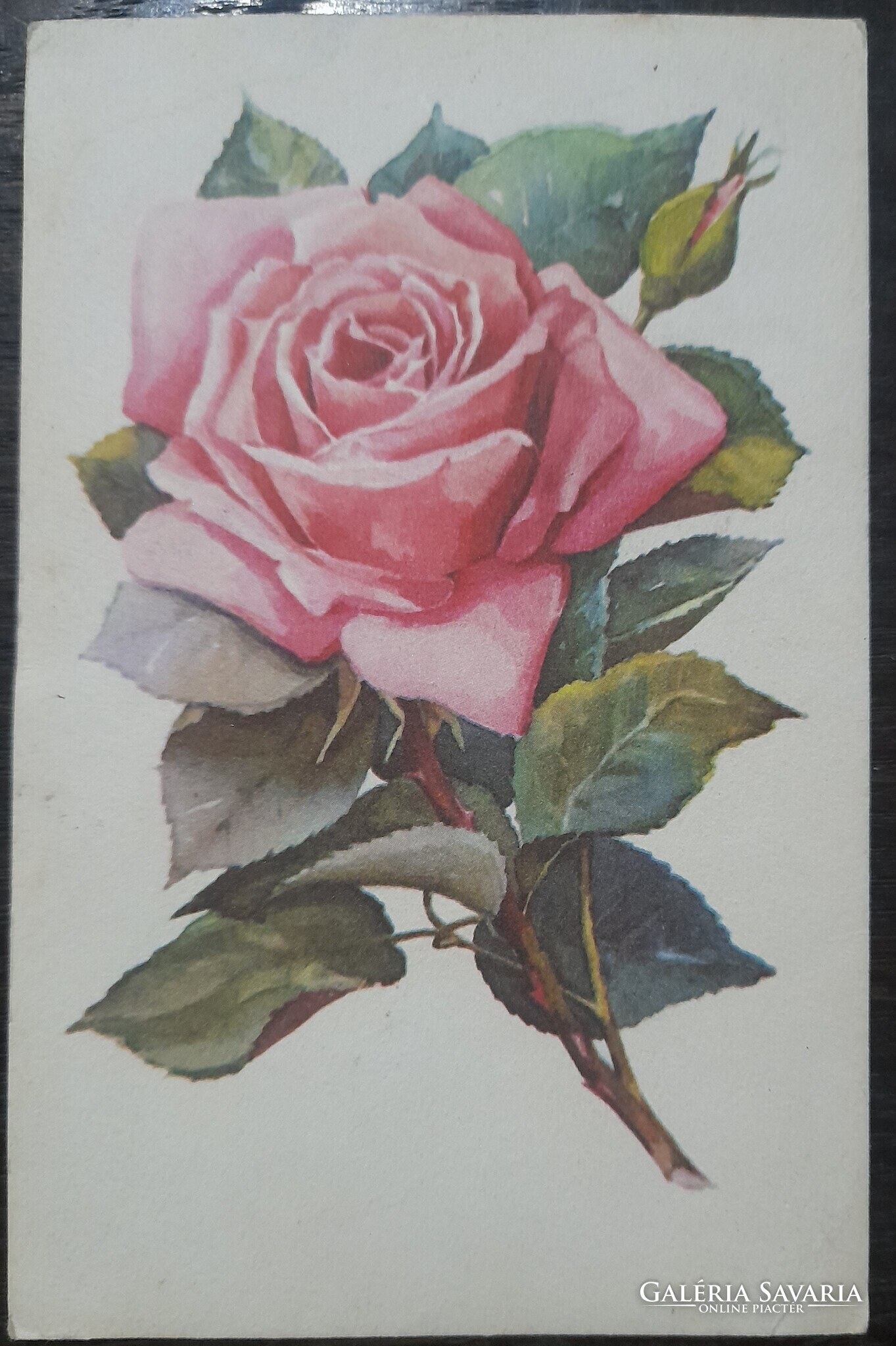 Grafikai képeslap Rózsa-Rajz-Stremnitzer Konrádné - Gyűjtemény ...