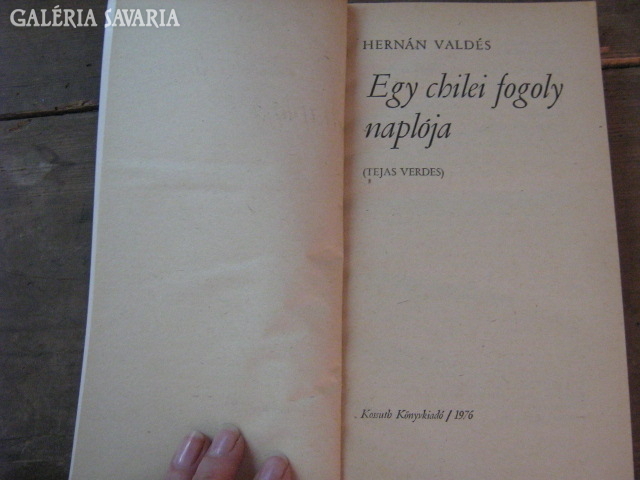Hernan Valdes:Egy chilei fogoly naplója