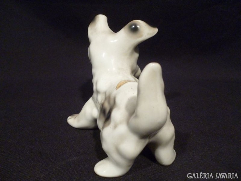 4721 I3 Régi porcelán foxi kutya