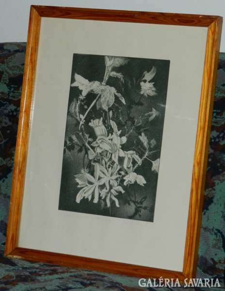 Flowers 67/100 marked etching: tailor?