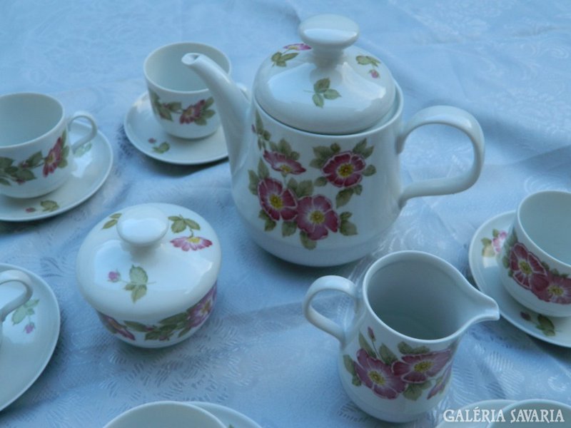 East German kahla tea set with floral design