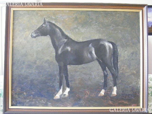 Szanthoffer Imre- fekete ló