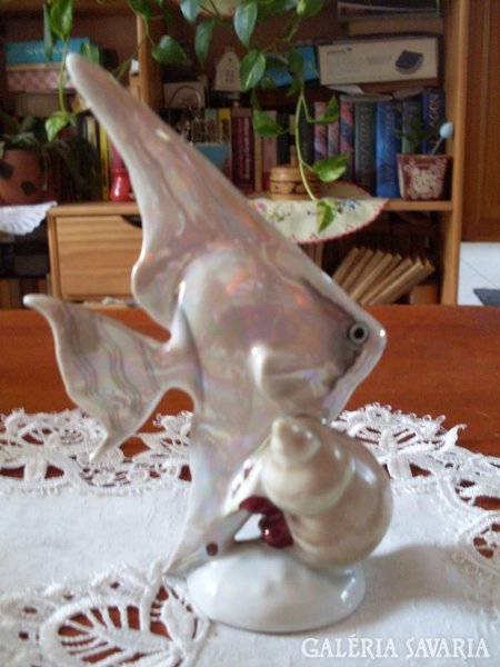 Porcelán vitorláshal 