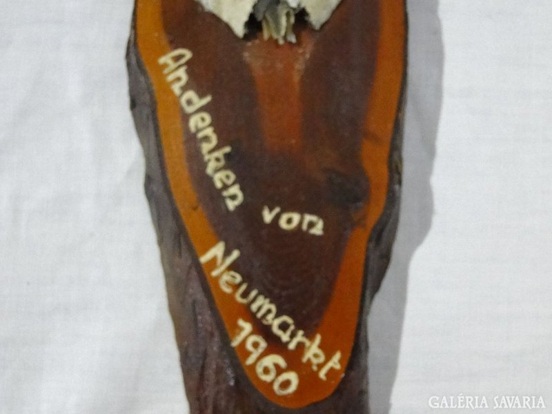 0440 Régi őz trófea , agancs fa talpon 1960