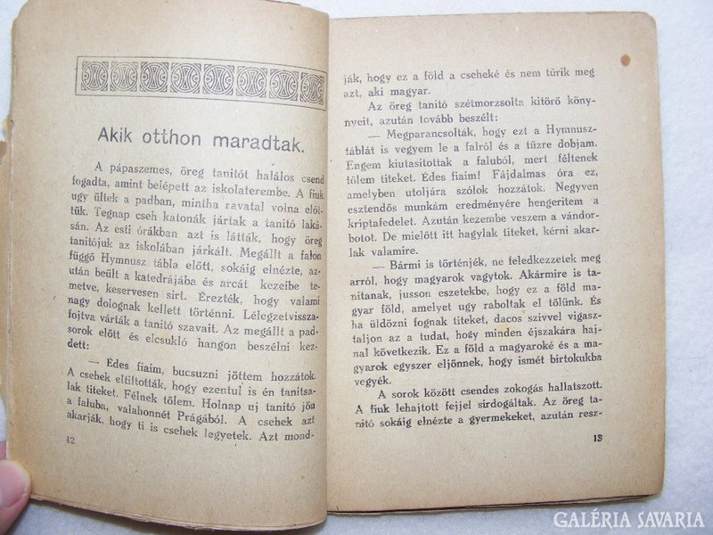 MAGYAR VIHARBAN-Mécsvilág-Géza bácsi könyve-1922!