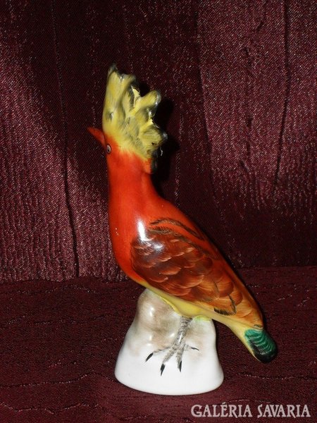 Bodrogkeresztúri kakadu  ( DBZ0039 )
