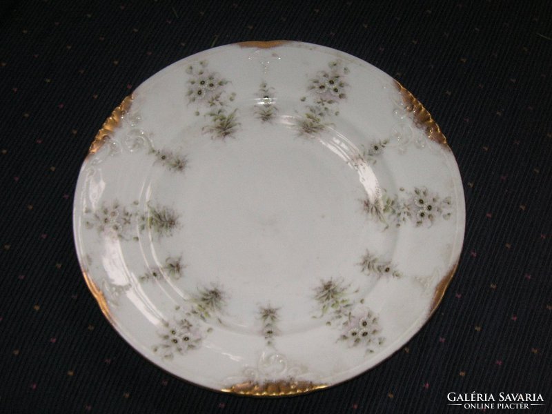Pfeifer und löwenstein, beautiful antique, hand-painted, decorative plate 25 cm