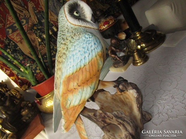 Extraordinary Bohemian porcelain owl marked and numbered