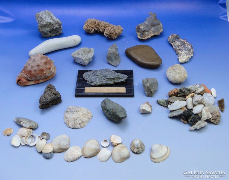 0B523 Régi kőzet kagyló gyűjtemény